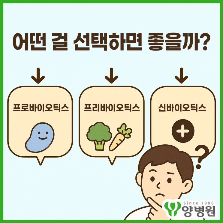  프로바이오틱스 vs 프리바이오틱스 vs 신바이오틱스 차이 총정리