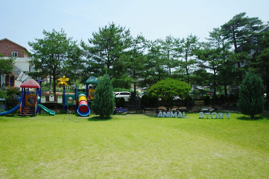 홍가홍 사진 6