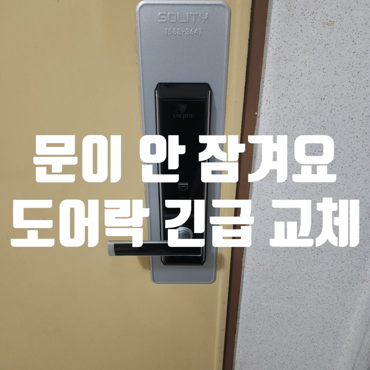  파주도어락 조리읍 봉일천 열쇠 성원아파트 고장 난 번호키, 당일 교체 설치!