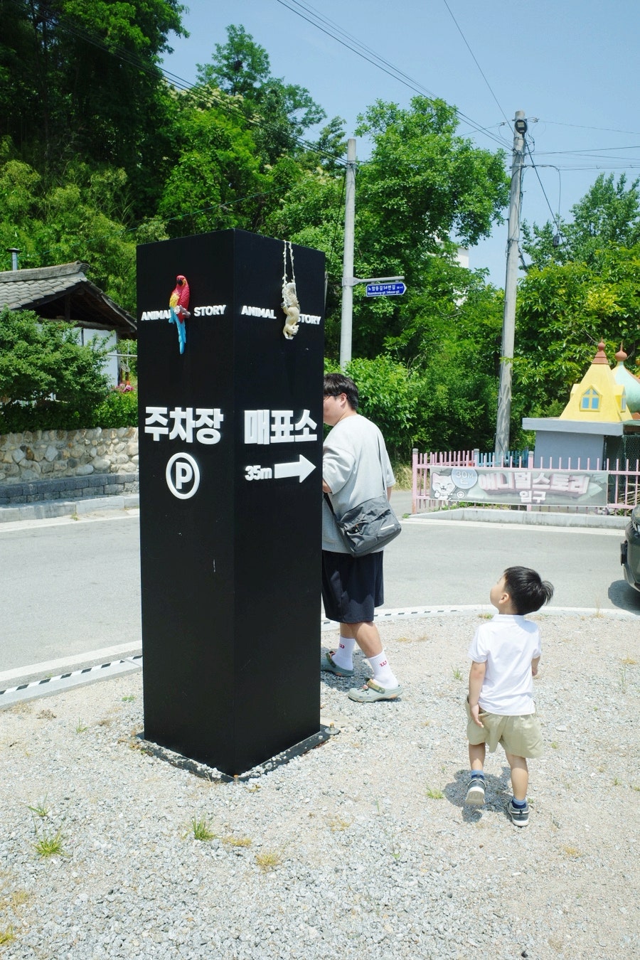 홍가홍 사진 3