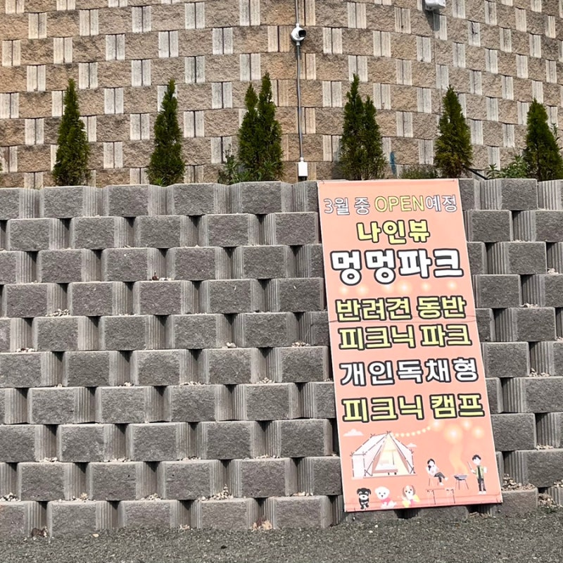 사진 4