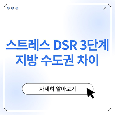  스트레스 DSR 3단계 지방 수도권 차이 무얼까