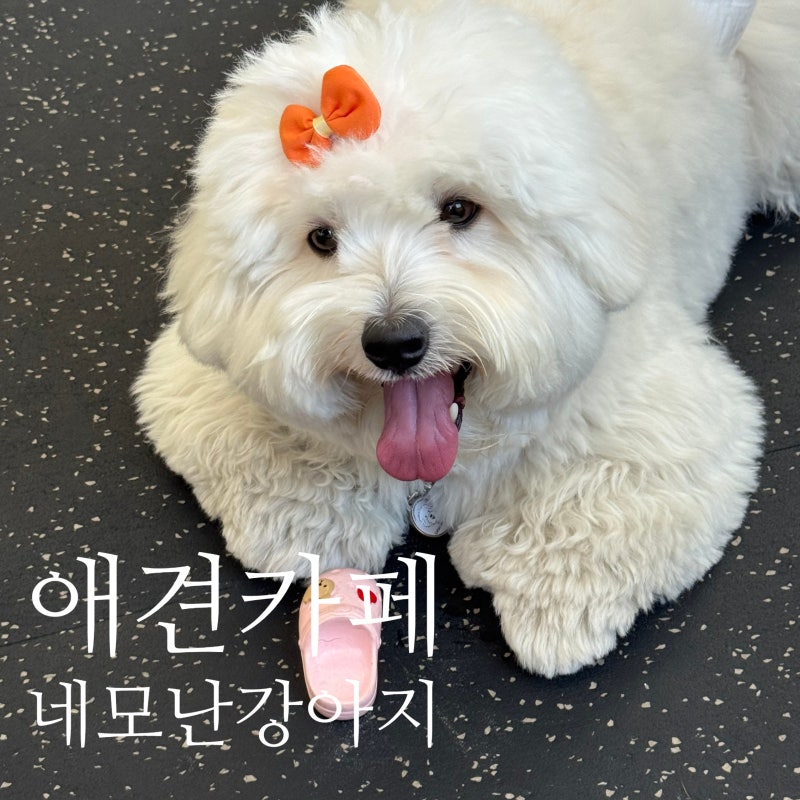 사진 4