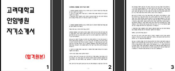  고려대학교 안암병원 자소서