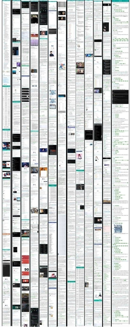 우왁굳 그 존나 개같이 긴 거 근황.jpg