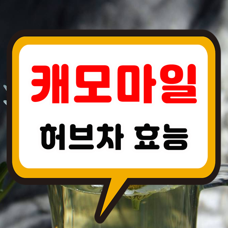 캐모마일차 효능 부작용 마른 꽃과 티백 복용법 케모마일 임산부 섭취 가능?