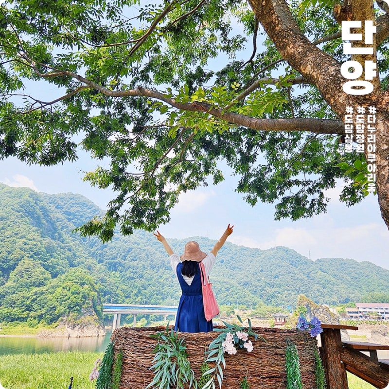 사진 6