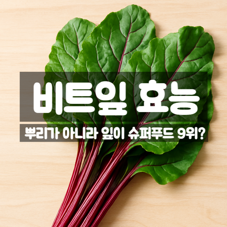  비트잎 효능 성분 먹는법 총정리 - 슈퍼푸드 9위인 이유