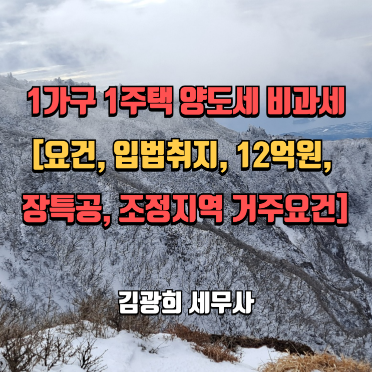  1가구 1주택 양도세 비과세[요건, 입법취지, 12억원, 장특공, 조정지역 거주요건]