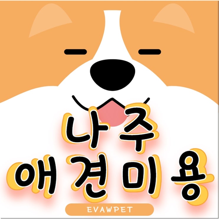  나주애견미용 자격증부터 취업까지 이바우펫에서 준비하세요