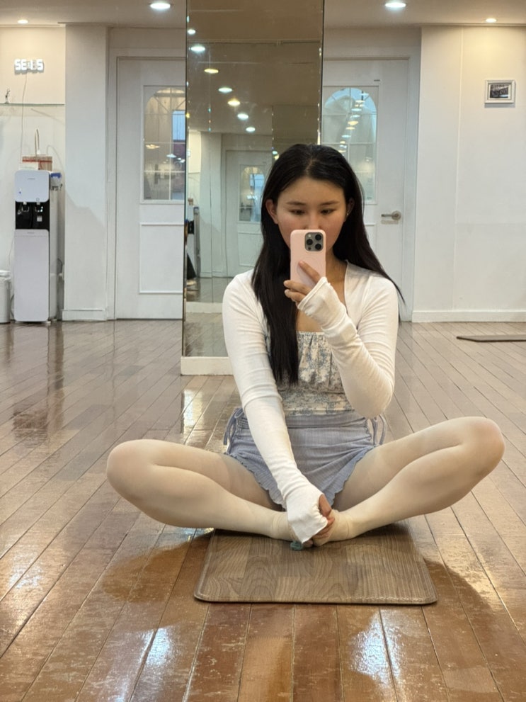  발레일기