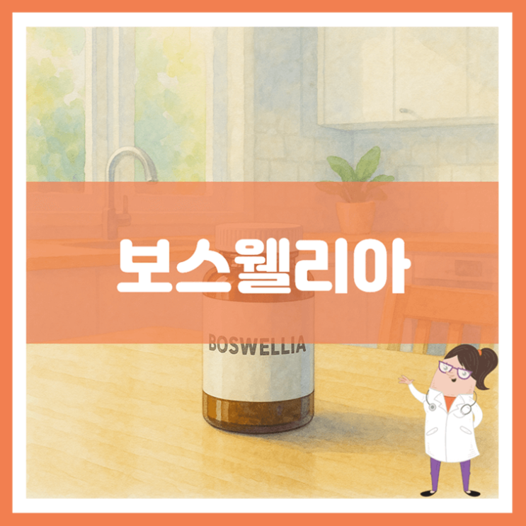  보스웰리아 5가지 효능 섭취방법 부작용