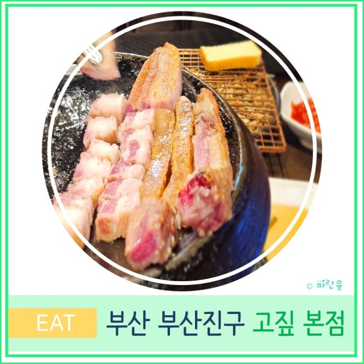  부산 서면 현지인 추천 고깃집 삼겹살 맛집 고짚 본점