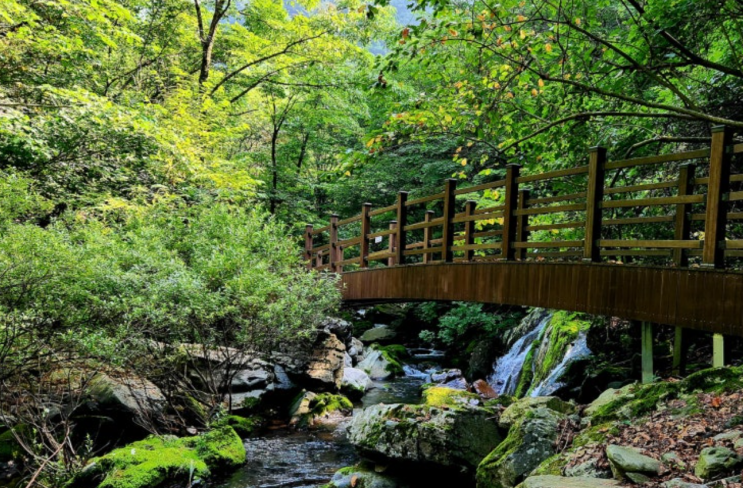 정선 항골 숨바우길 : 여름엔 여기만 한 데가 없죠🍃