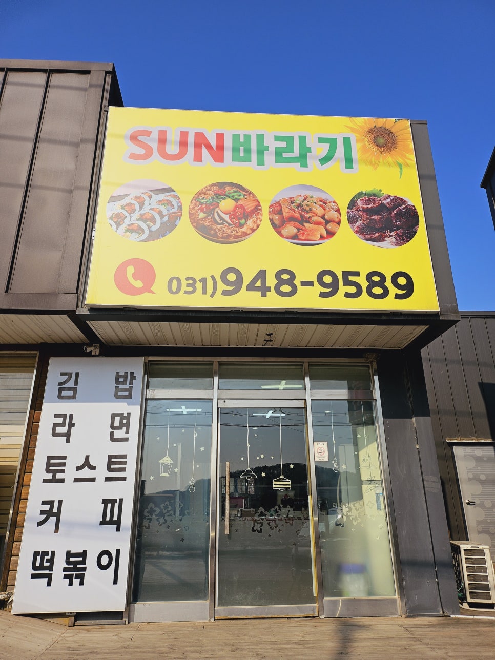 선바라기 사진 1