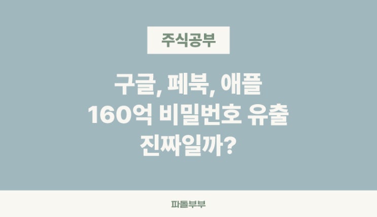  애플 구글 페이스북 해킹 160억개 비밀번호 유출