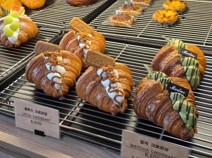 안산대형카페 애견동반가능한 베이커리카페 모더스브레드