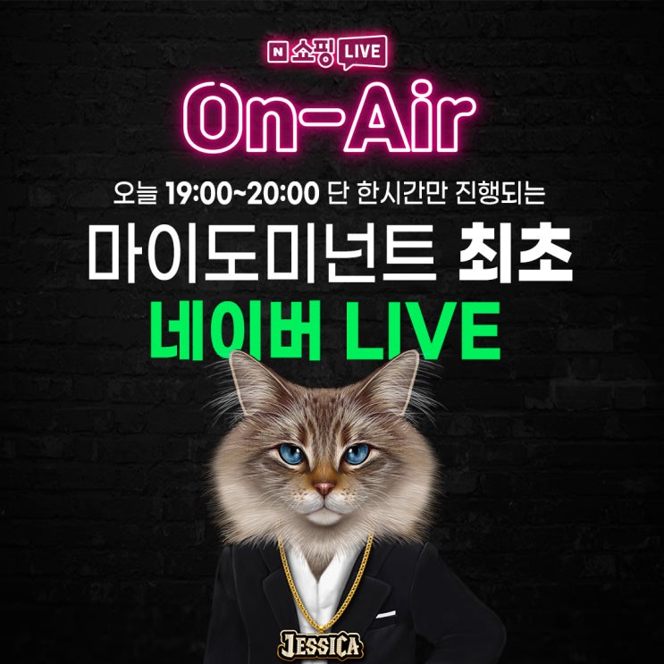 고양이모래 추천템! 마이도미넌트 네이버 쇼핑라이브 드디어 열린다🎉