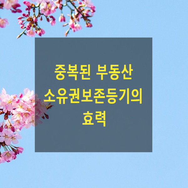  중복된 부동산 소유권보존등기의 효력(농지개혁법, 점유취득시효, 등기부취득시효)