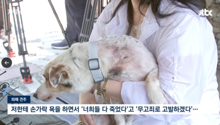 개 잡는 해병대? 예비역·전국민 분노…국방부에 엄벌 촉구 움직임 폭발