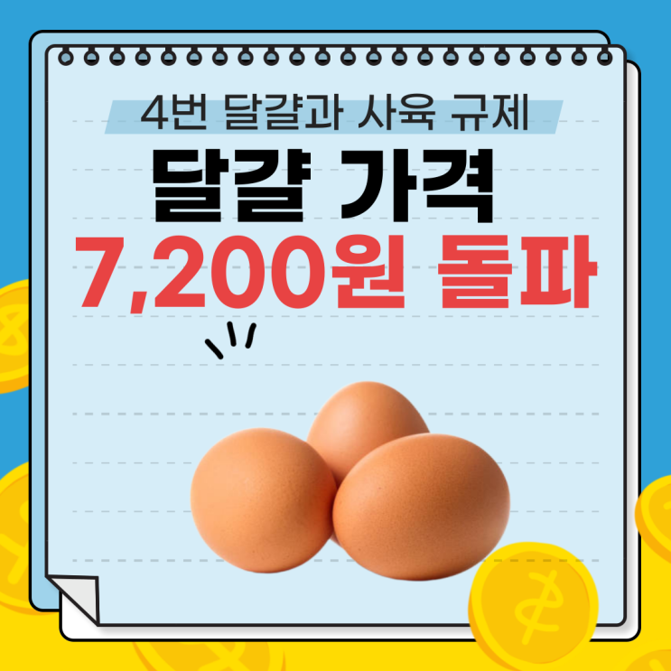  4번 달걀과 사육 규제 : 2025년 달걀 시장 전망