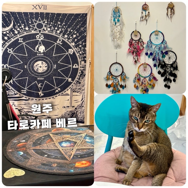  원주놀거리 사주 타로카페 베르