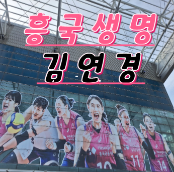 [<b>흥국생명</b>] 삼산체육관 여자배구 주차장 및 관람 꿀팁... 