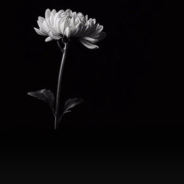  "딸 28곳 찔러 죽인 의대생, 사체훼손은 처벌 안 받아?우리 사회의 범죄 대응"