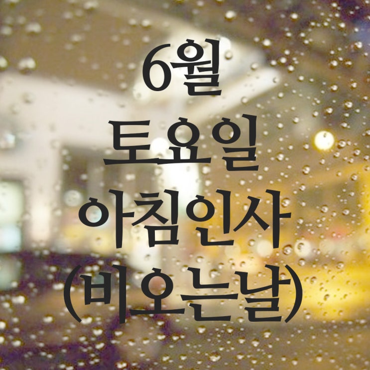  6월 토요일 주말 아침인사말(비오는날)