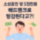 소상공인 지원금 확대! 배드뱅크로 5천만원 빚 정리?