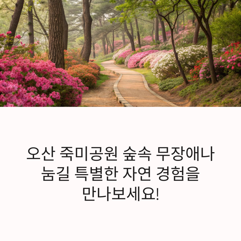 사진 5