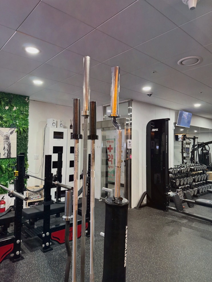  [헬스장 리뷰] MCTGYM 용산, 개인 맞춤형 관리와 효율적인 운동을 제공하는 용산 헬스장