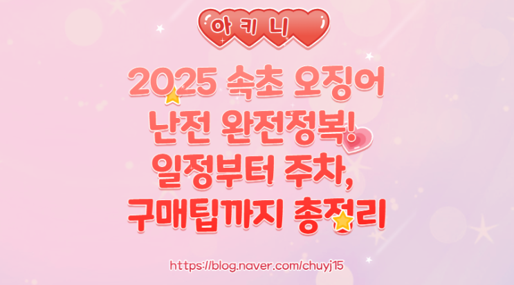  2025 속초 오징어난전 완전정복! 일정부터 주차, 구매팁까지 총정리