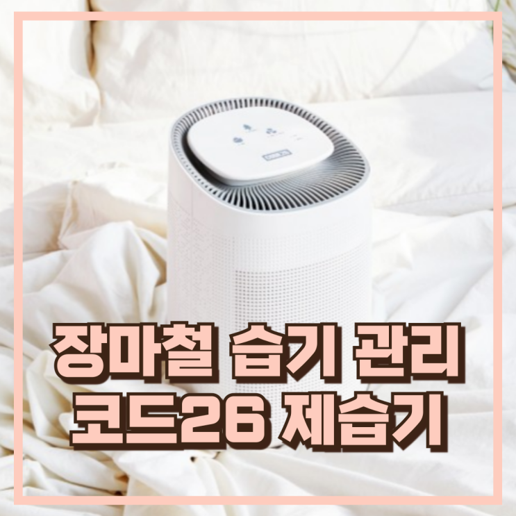  장마철 습기 관리! 코드26 APD13+ 가정용 공기청정 제습기 추천, 할인가