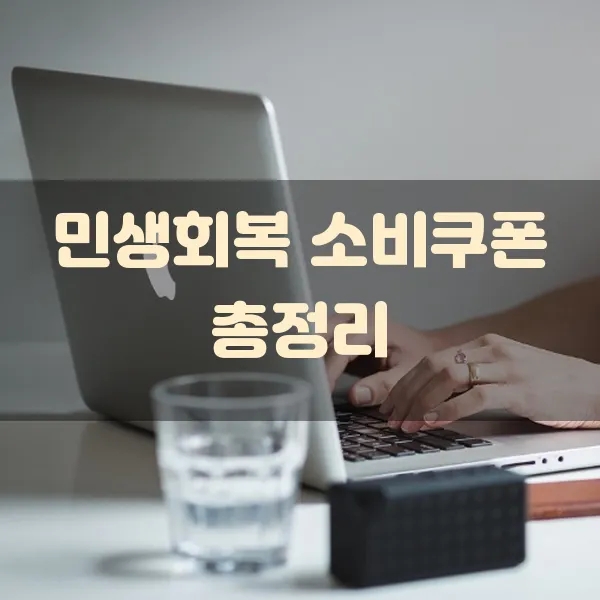  민생회복 소비쿠폰 신청방법 및 대상