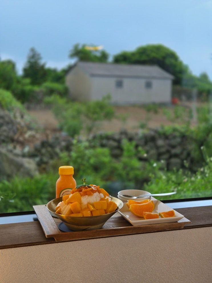 농장 카페라 가성비 좋은 제주 애플망고빙수 제이샘