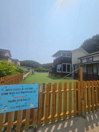 사진 2