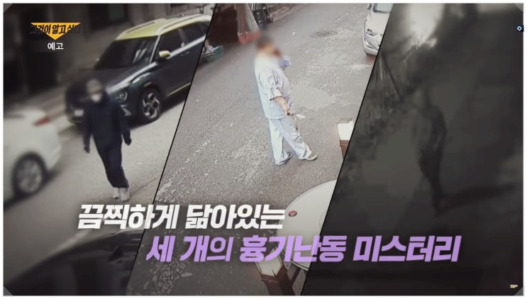  그알 1448회 충남 서천 이지현 서울 미아역 김성진 경기 시흥 차철남 묻지마 살인사건 정리