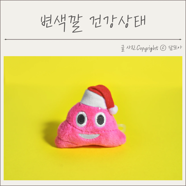  변색깔 건강상태 점액변 원인