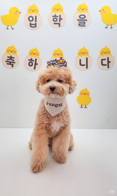 사진 5