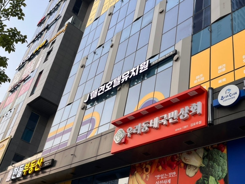 사진 2