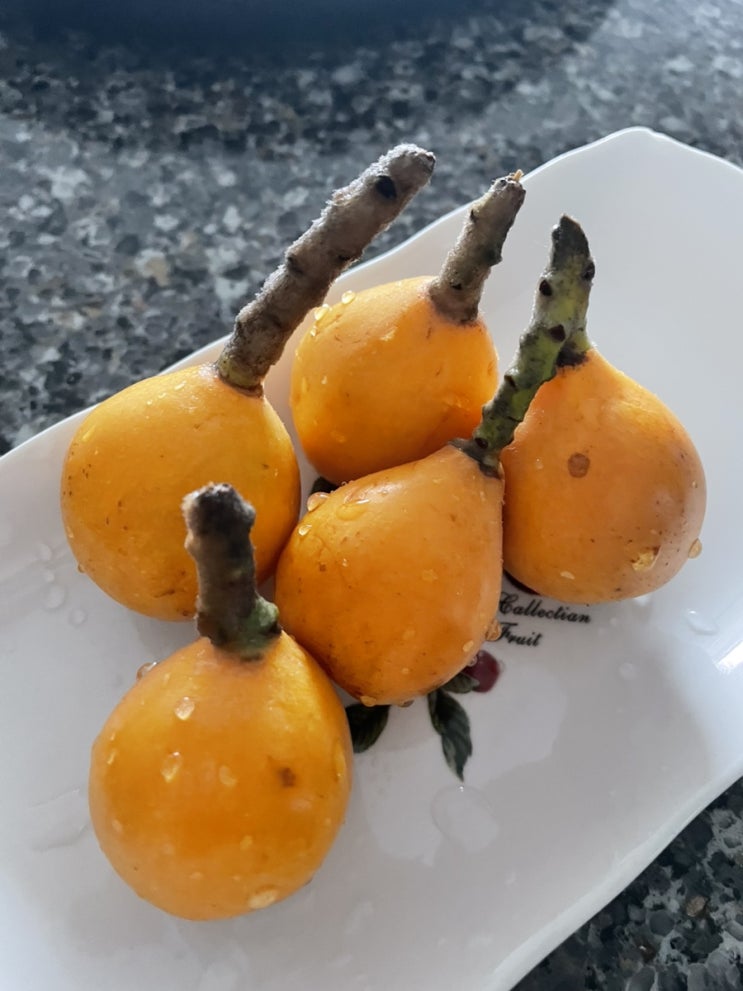  초면인 비파
