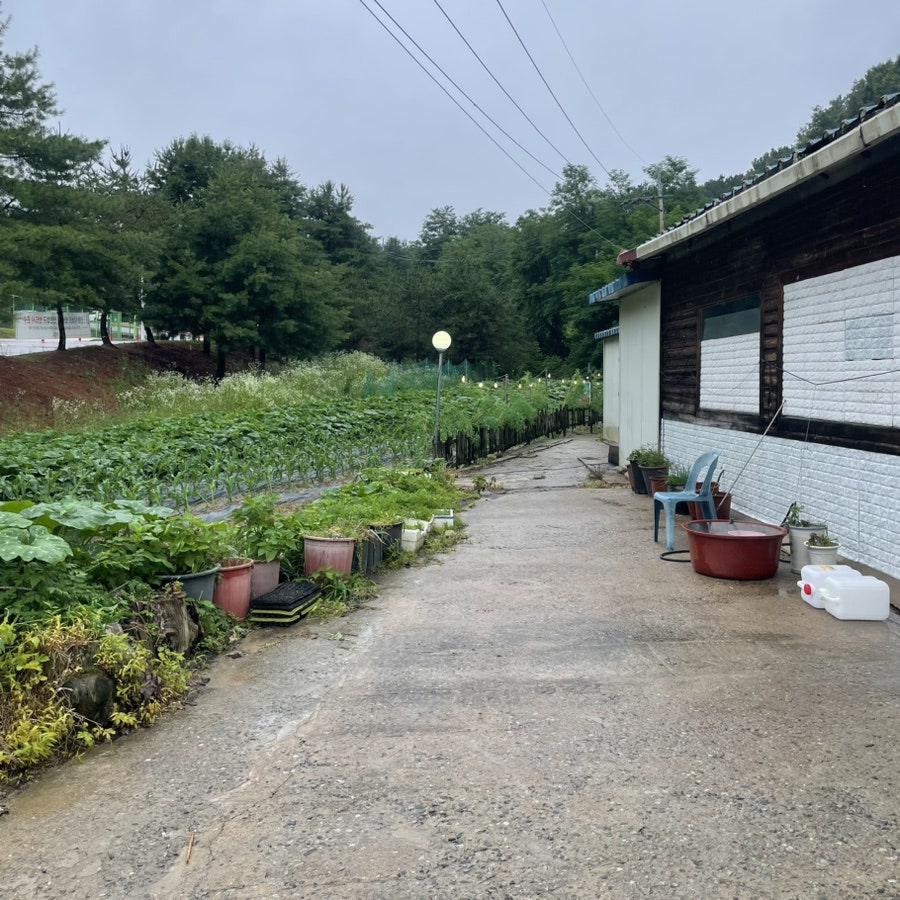 Ttukkeongjip photo 4