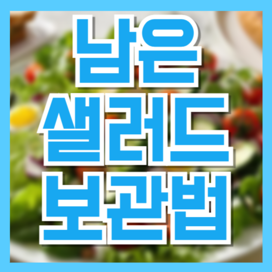 남은 샐러드, 시들기 전에 살리는 보관법! 전문가가 알려주는 꿀팁 총정리