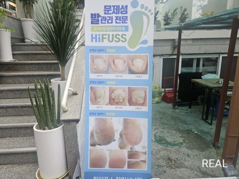 사진 3