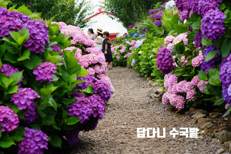 사진 4