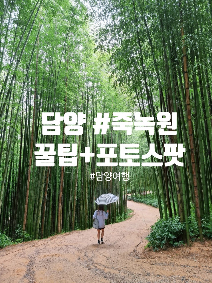  담양 죽녹원 구석구석 다녀왔어요 대나무숲 말고 꼭 봐야 할 포인트들