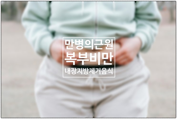  만병의 근원 복부비만 내장 지방 제거의 좋은 음식.