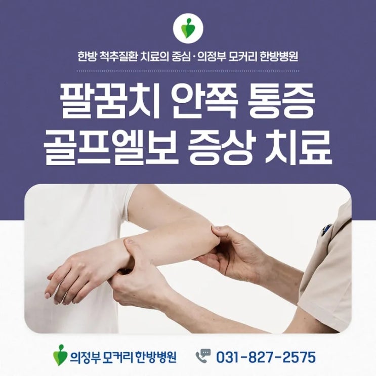  팔꿈치 안쪽 통증 골프엘보 원인 증상 치료법
