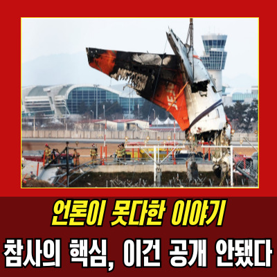  제주항공참사 입건 15명, 무엇이 밝혀졌나